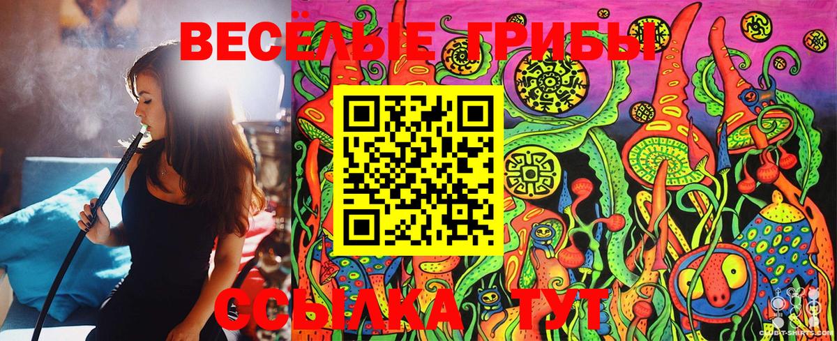 Псилоцибиновые грибы Cubensis Новый Уренгой